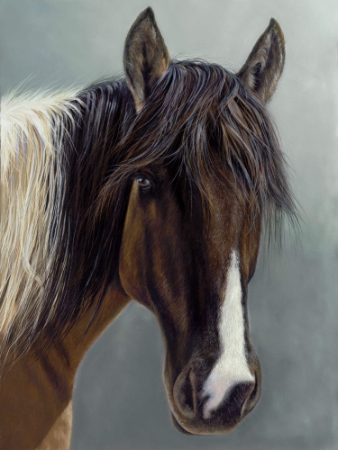 Sassy 16x12 $990 at Hunter Wolff Gallery